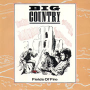 Fields of Fire 12” single