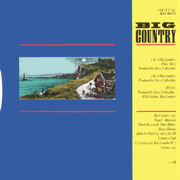 12” single back
