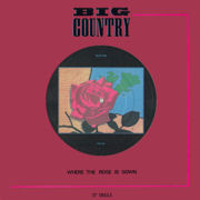 Where The Rose Is Sown 12” single (Canada)