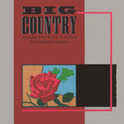 Where The Rose Is Sown 12” single