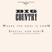 Where The Rose Is Sown 12” single (promo) (USA)