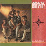 7” single front