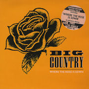 Where The Rose Is Sown
