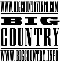 website logo