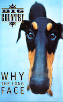 Why The Long Face