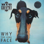 Why The Long Face