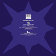 picture disc sleeve back