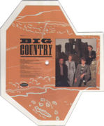 picture disc back