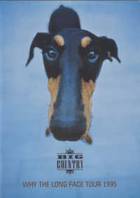 Why The Long Face