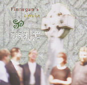 Finnegan's aWake