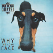 Why The Long Face